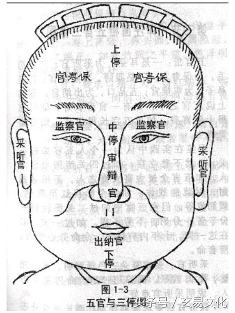 倫五行 鼻子挺 面相